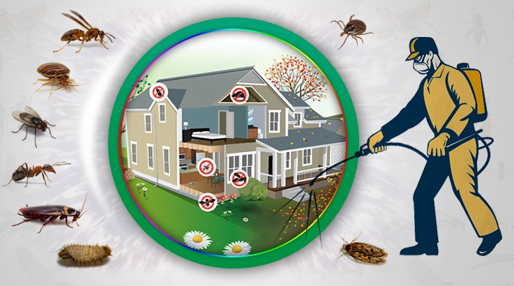 Buca Böcek İlaçlama